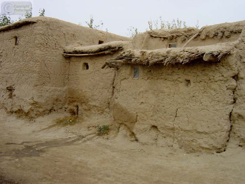 Houses near the Front Lines